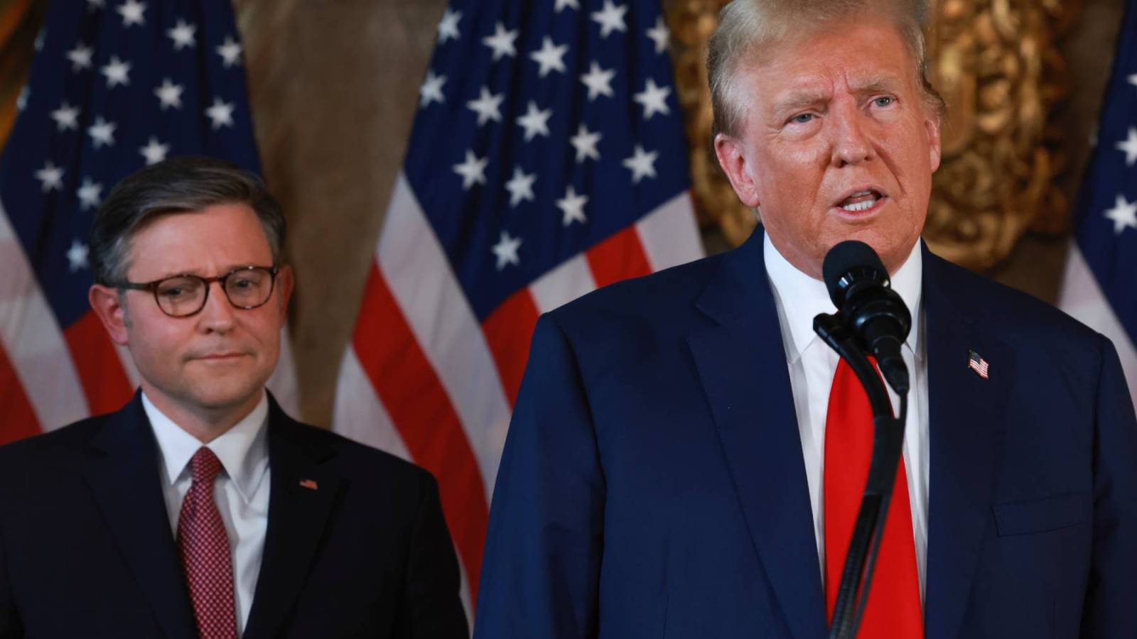 "Trump and Johnson Propose Citizenship Verification Bill for Voting"