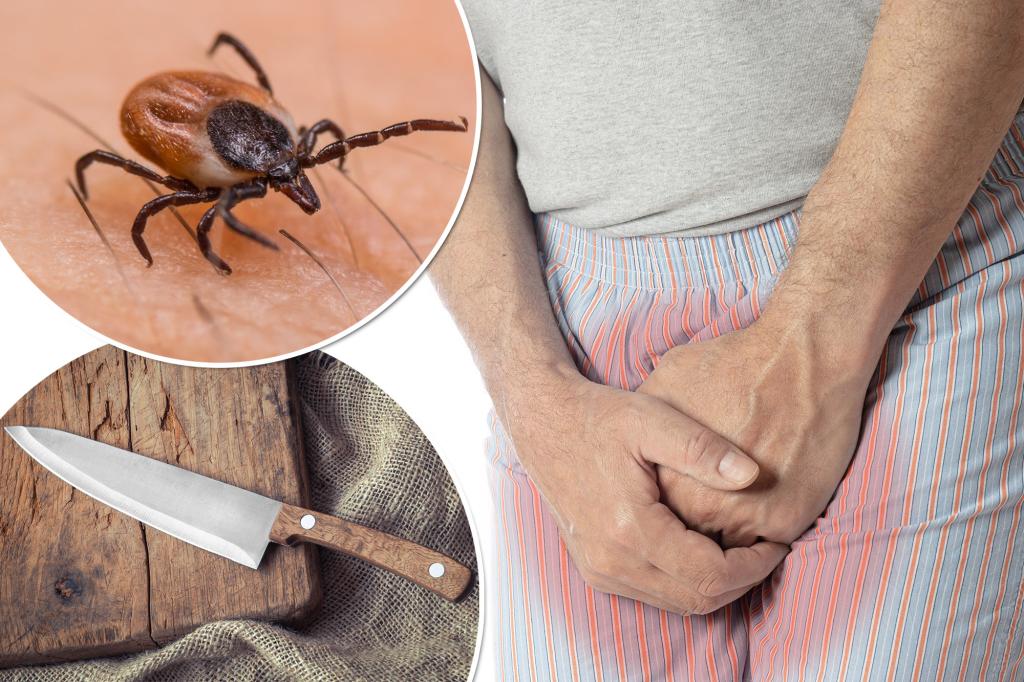"Czech Priest Mutilates Himself Amid Tick-Induced Psychosis"