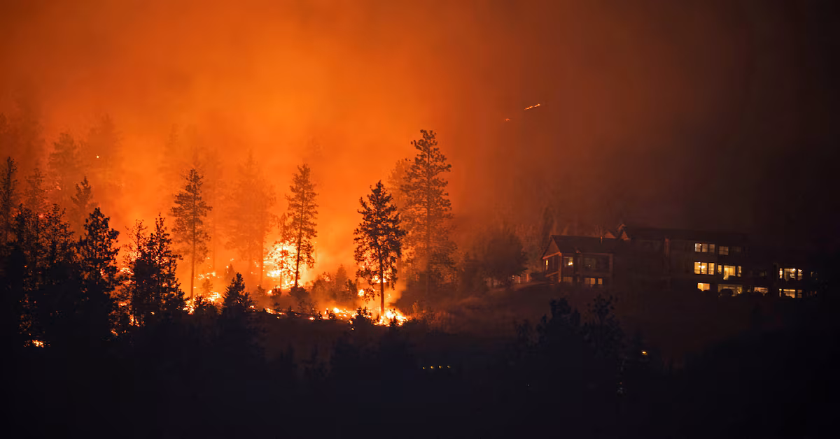 "Rapidly Spreading Wildfires in British Columbia Force Massive Evacuations and State of Emergency"
