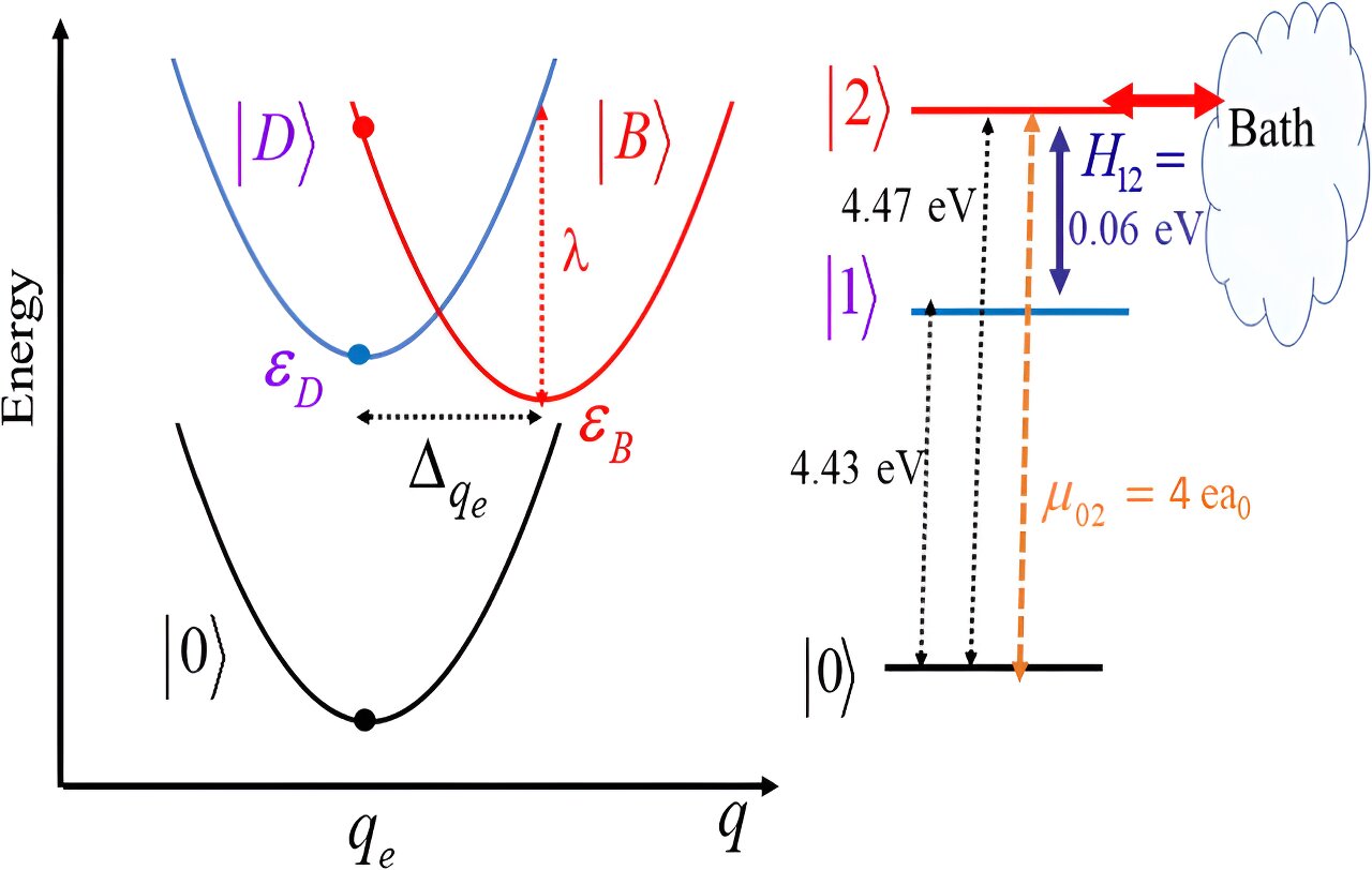 Featured image for Unveiling the Dynamic Transformation of Quantum Systems
