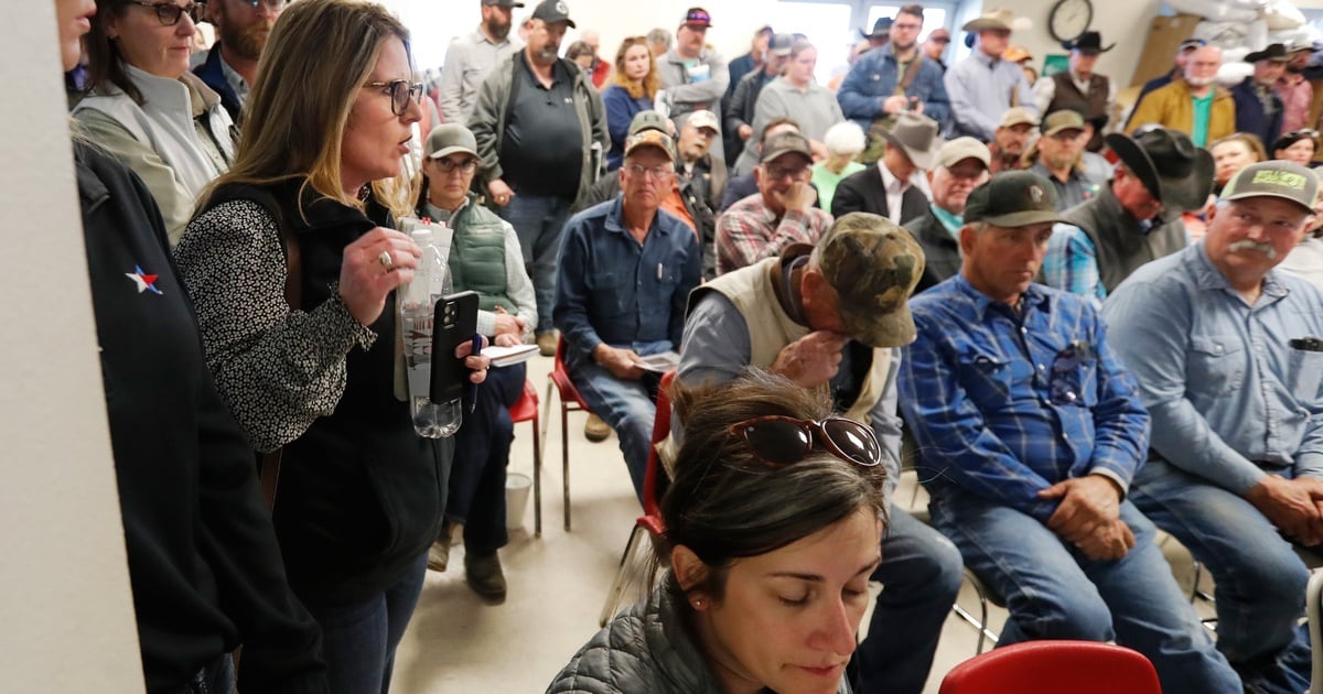 Featured image for "Rebuilding After Texas Wildfires: Ranchers Seek Aid Amid Devastation"