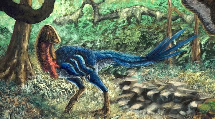 "Online Purchase Unveils Discovery of Dinosaur Chicken from Hell"