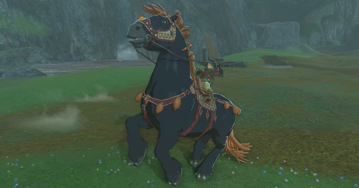 "Zelda: Tears of the Kingdom - Tips and Tricks for Item Collection and Quest Completion"
