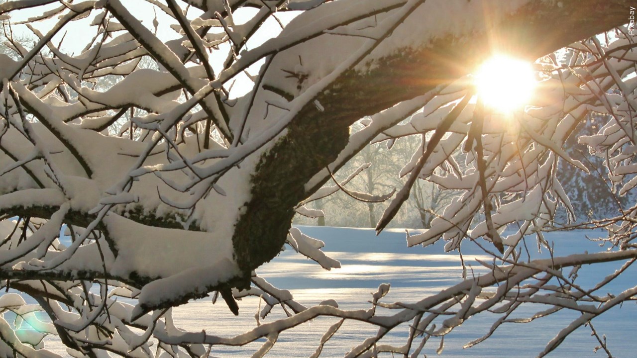 Winter Weather Outlook: Warmer Temperatures Expected Across the US