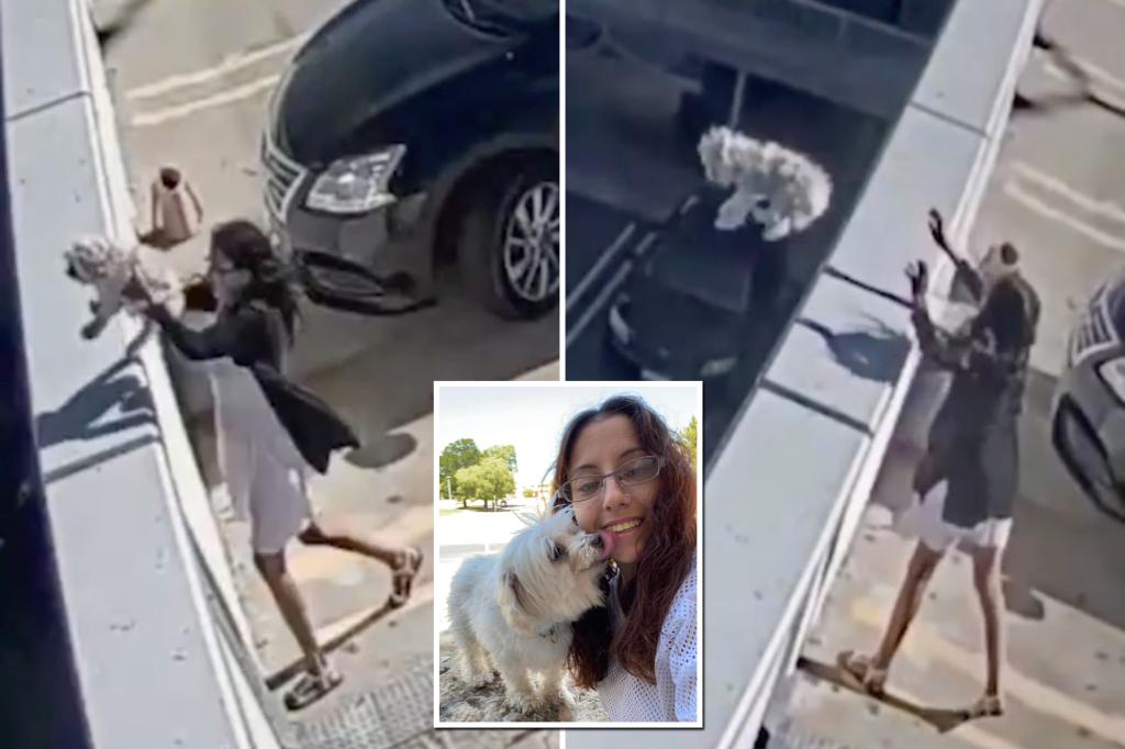 Featured image for Woman Sentenced to Prison for Throwing Dog off Parking Garage