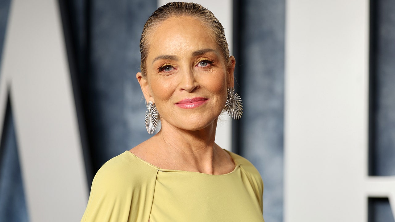 Sharon Stone's Disturbing Encounter with Sony Executive: A Harrowing 1980s Ordeal