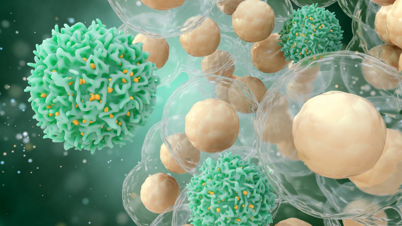 Cell Nutrition's Role in Shaping Immune Therapies Uncovered