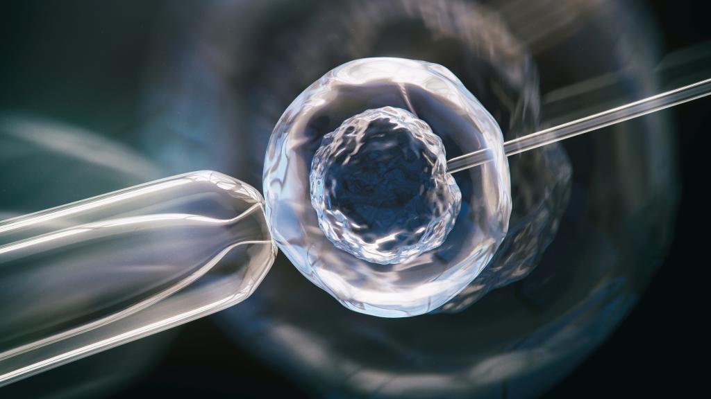 Featured image for Scientists create synthetic human embryos without egg or sperm in groundbreaking breakthrough.