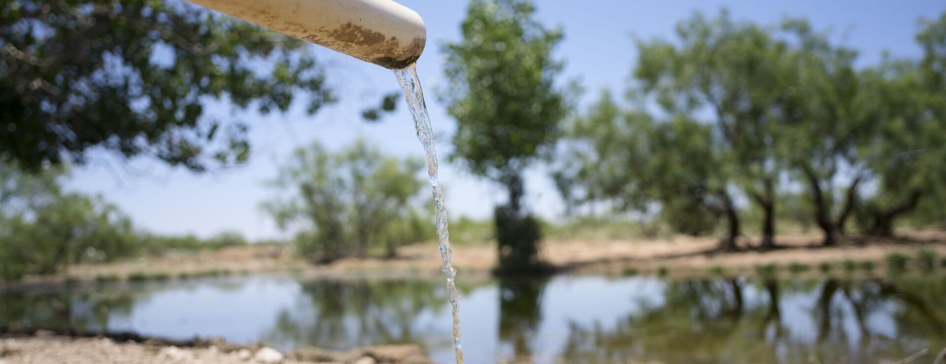 Featured image for Widespread Contamination: Alarming Levels of PFAS Found in US Tap Water