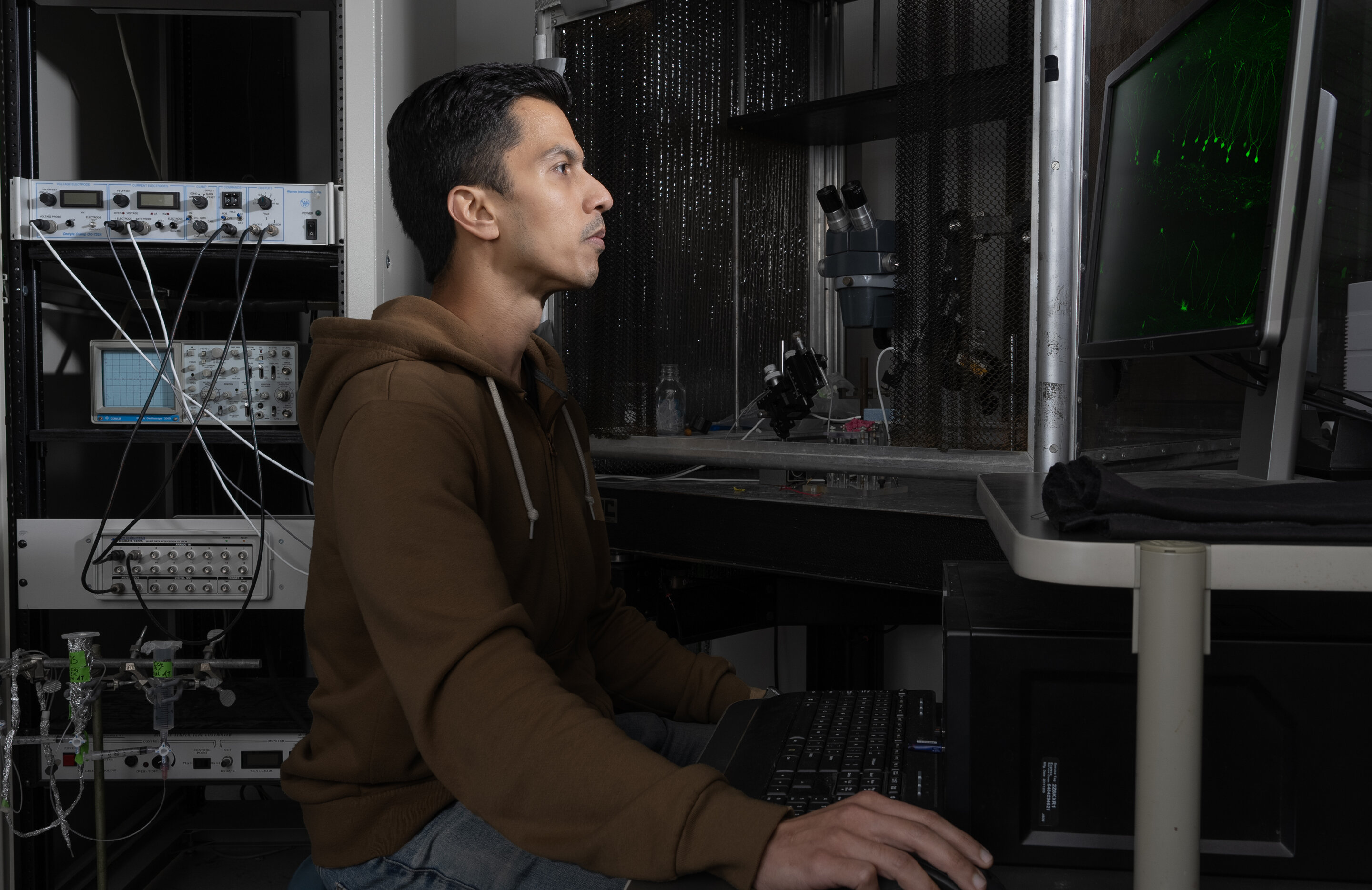 Featured image for "Stress and Memory: Unveiling the Molecular Mechanisms of Information Stabilization"