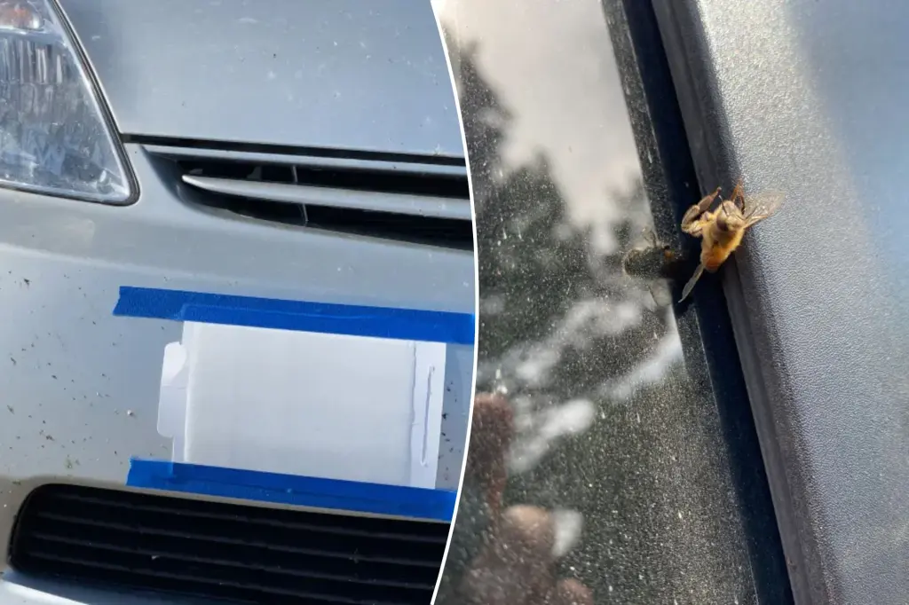 Featured image for The Environmental Impact of Bees Killed by Cars