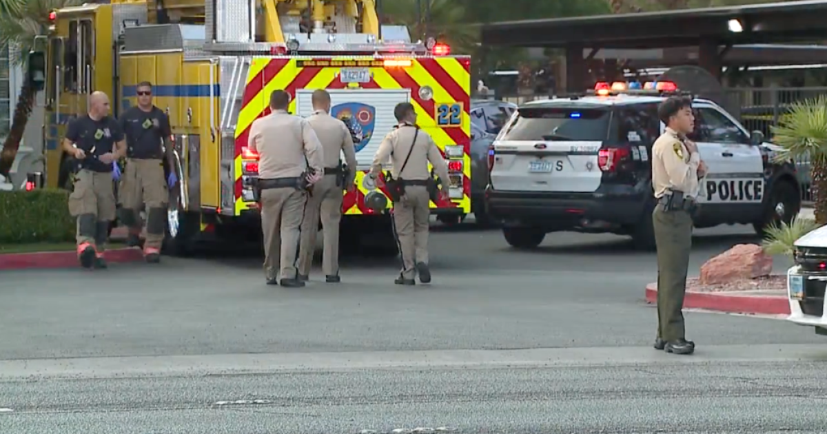 Tragic Shooting Leaves Mother Dead and Family Shattered