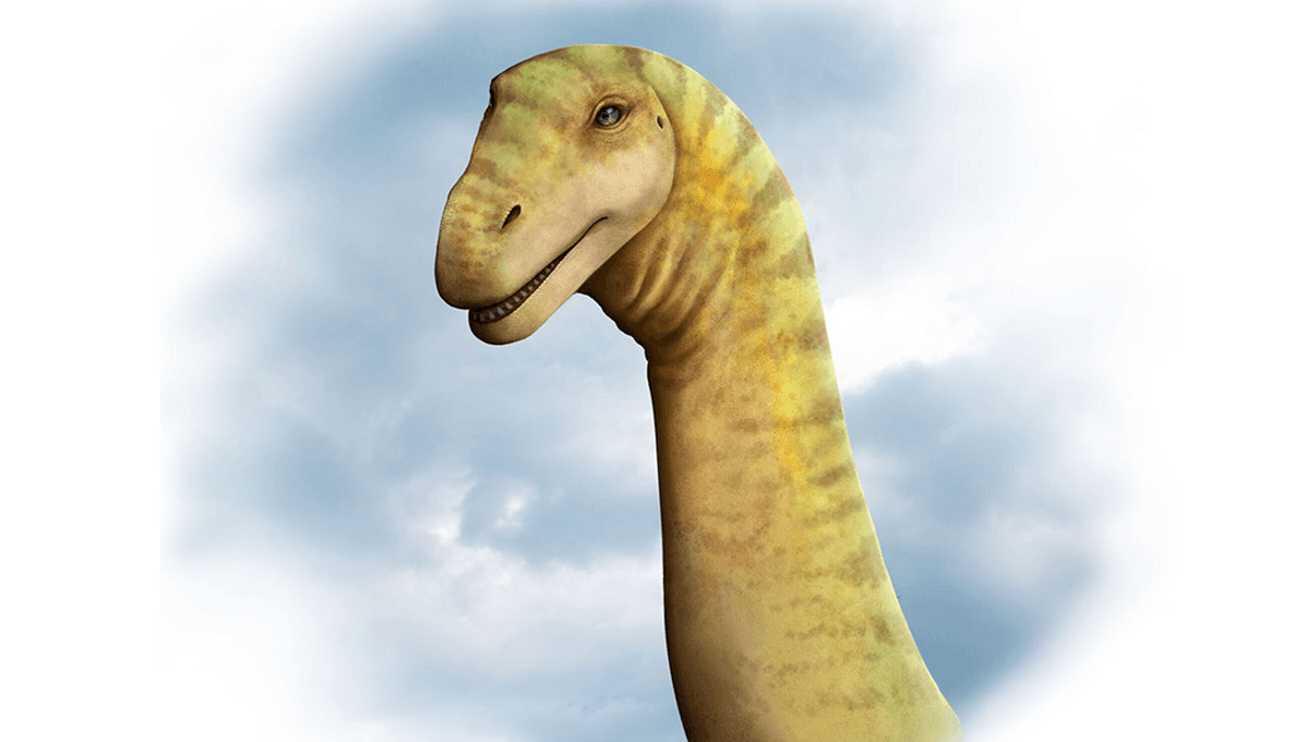 Featured image for Ancient Dinosaur Skulls Unearthed in Australia's Queensland.