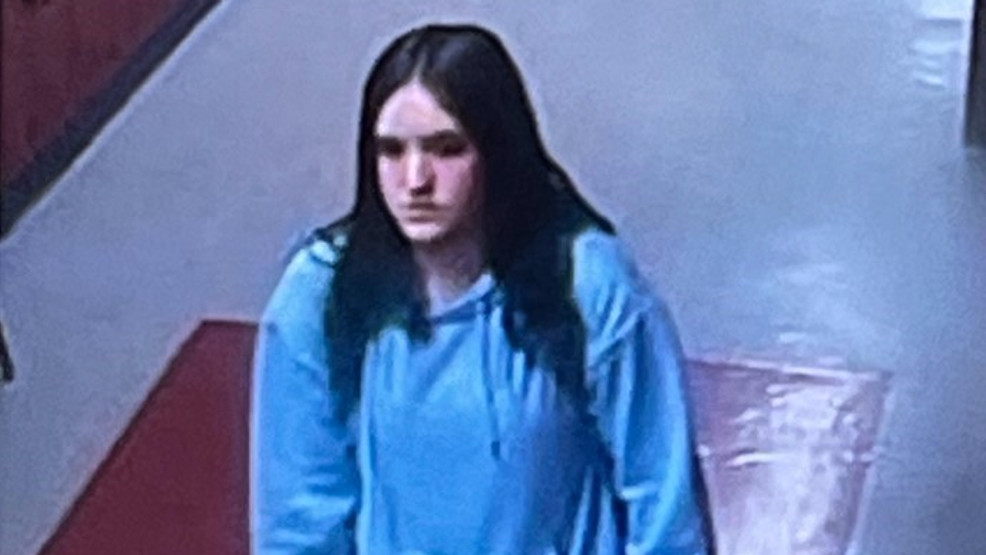 "Missing SC Teen Found Safe, Arrest Made in Upstate Search"