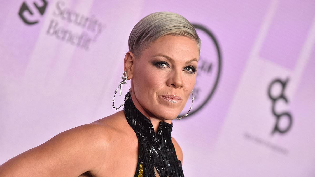 Featured image for Pink Confronts Internet Troll's Offensive Birthday Message with Eddie Izzard Photo