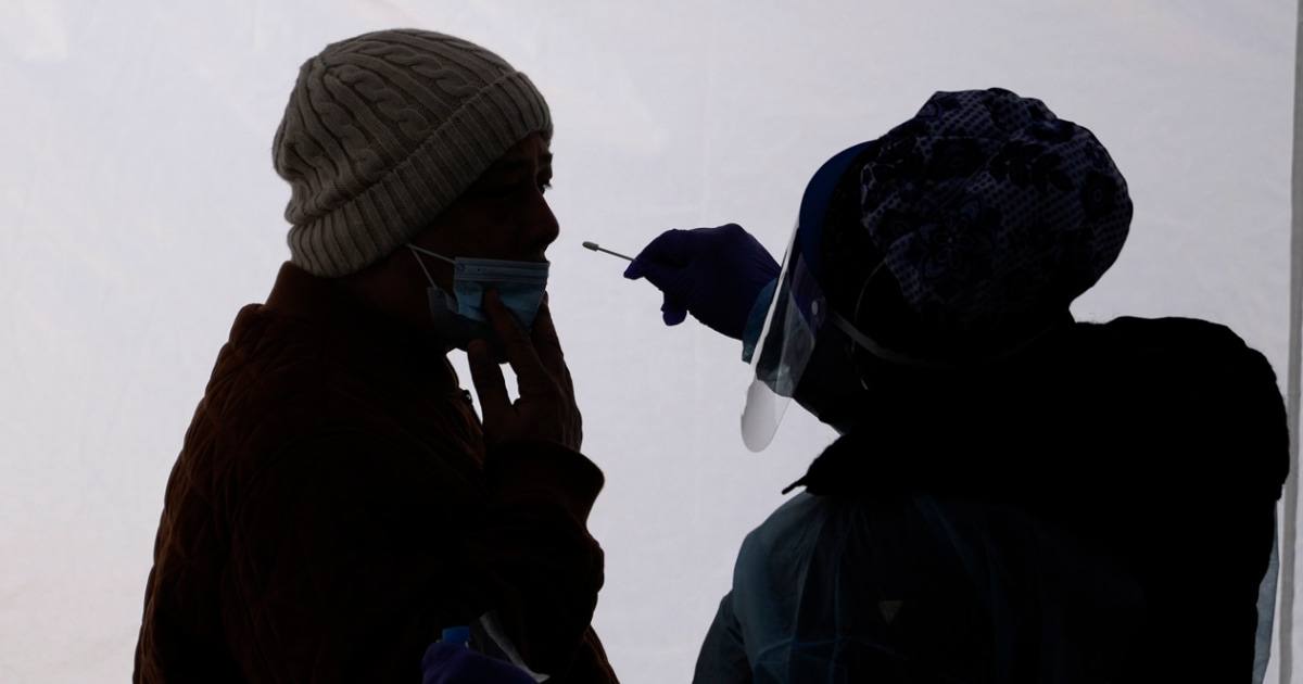Unveiling the Immune System Differences in Long Covid Patients
