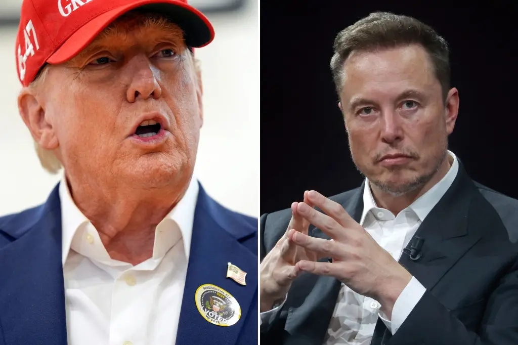 Elon Musk's Stake in Trump's Election Outcome