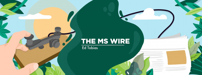 The Uncertainty of AI in Diagnosing Multiple Sclerosis