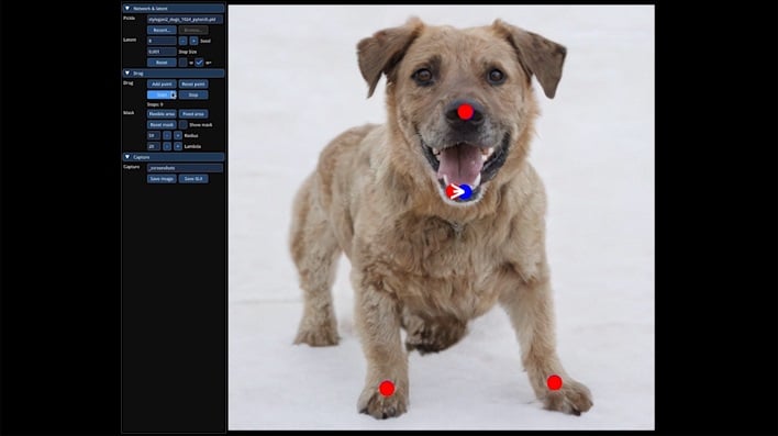 Featured image for "Revolutionize Image Editing with DragGAN AI's Click and Drag Tool"