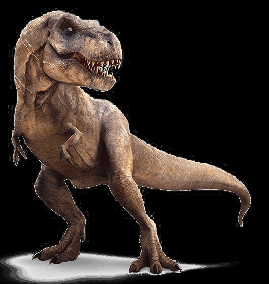 Featured image for "Discovery of New T.Rex Relative and Two Unknown Species Confirmed by Scientists"