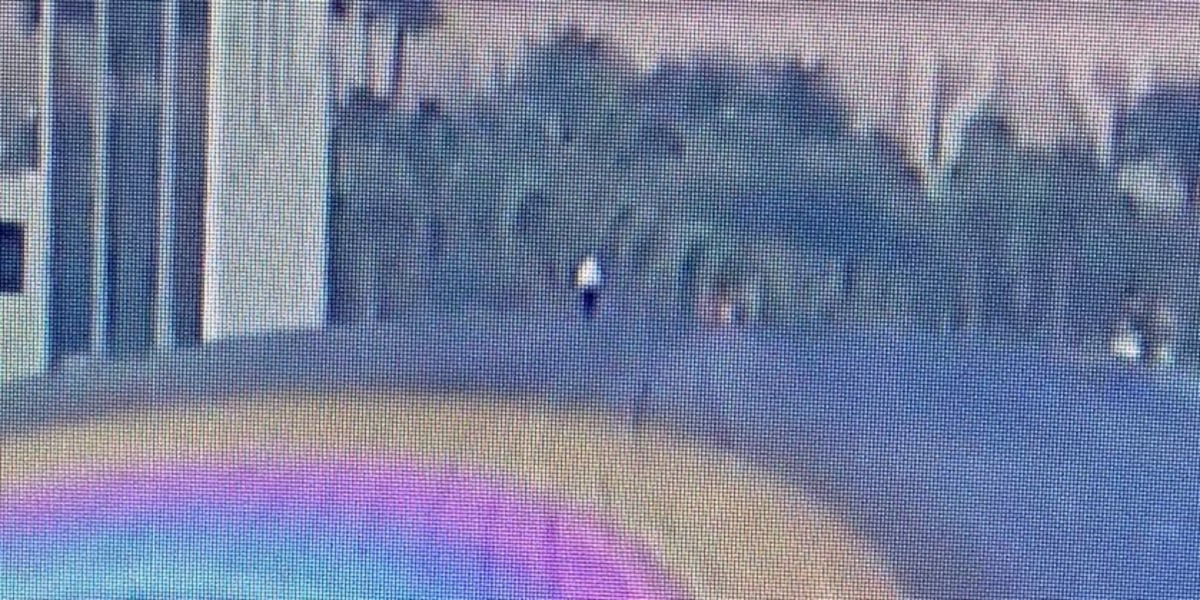 "Police Respond to Climber Scaling Las Vegas Sphere"