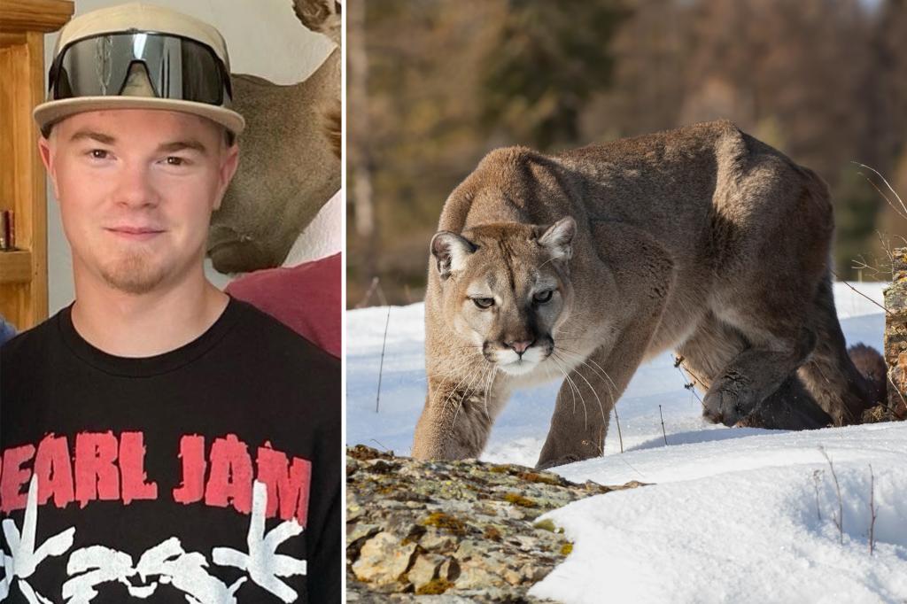 Featured image for "California Family Devastated by Fatal Mountain Lion Attack on Brothers"