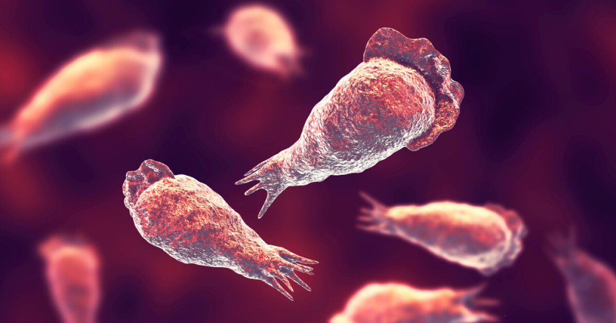 Featured image for Texas woman dies from brain-eating amoeba after using tap water for sinus rinse