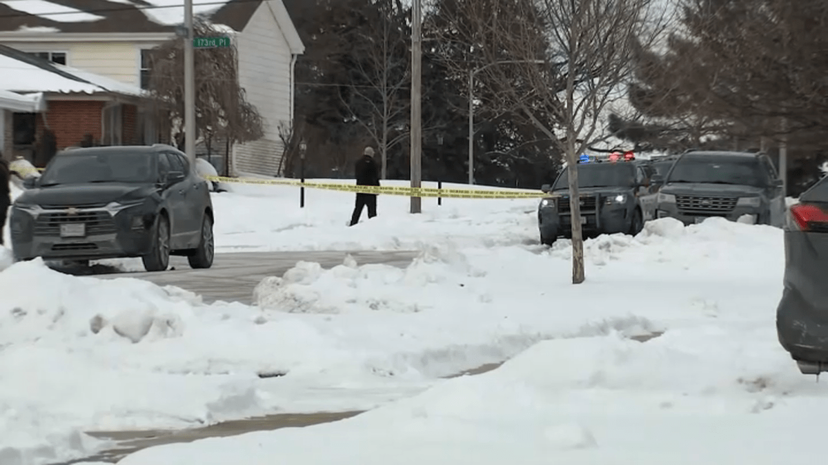 Tinley Park Tragedy: 4 Women Shot and Killed in Domestic Incident