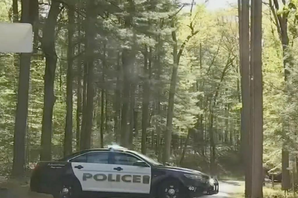Brooklyn murder victim's body found in shallow grave in Connecticut park, brother charged.
