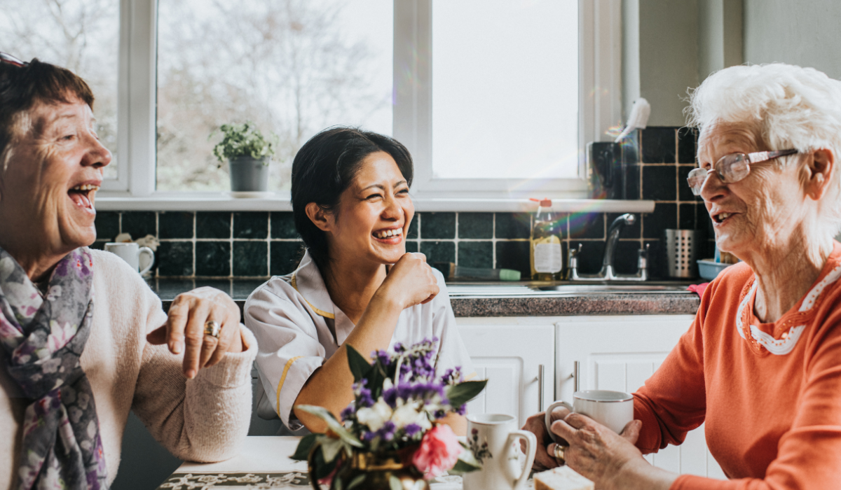 Unveiling the Gut's Role in Successful Aging