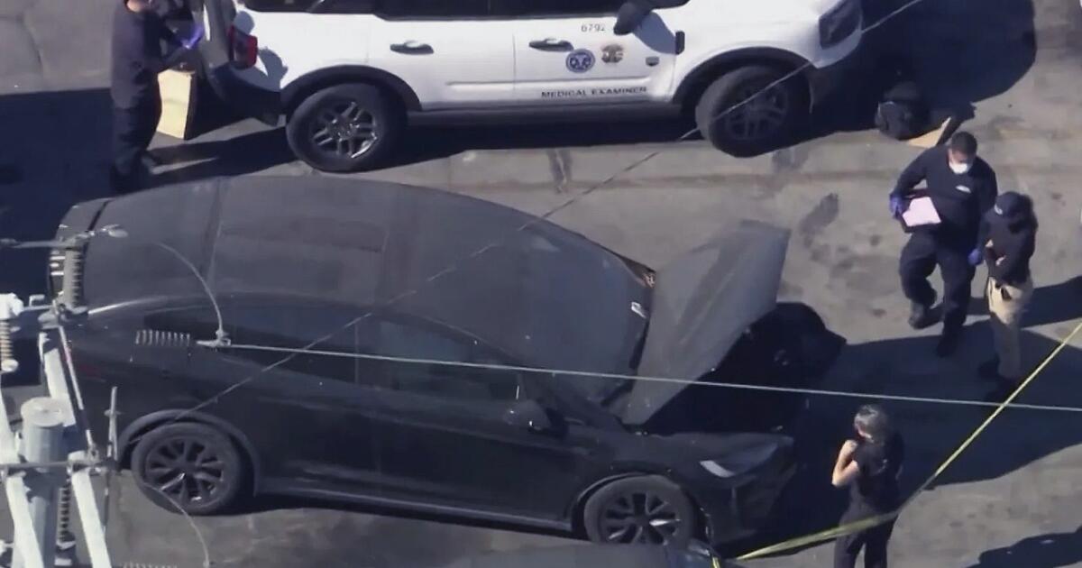 Body Discovered in Impounded Tesla Registered to Singer D4vd in LA