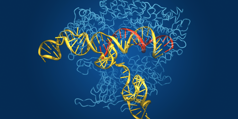 Featured image for "Revolutionary Algorithm Uncovers Abundance of Gene-Editing Enzymes in Environmental DNA"