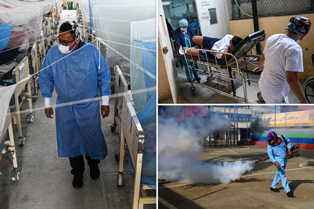 Peru's Dengue Outbreak Claims 200 Lives Amid El Niño Rains.