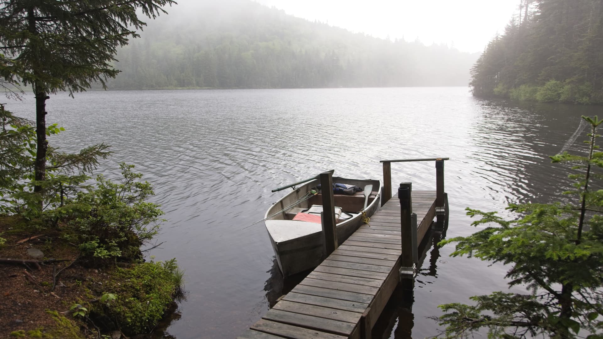 Featured image for Federal Judge Halts Biden's Clean Water Rule in 24 States