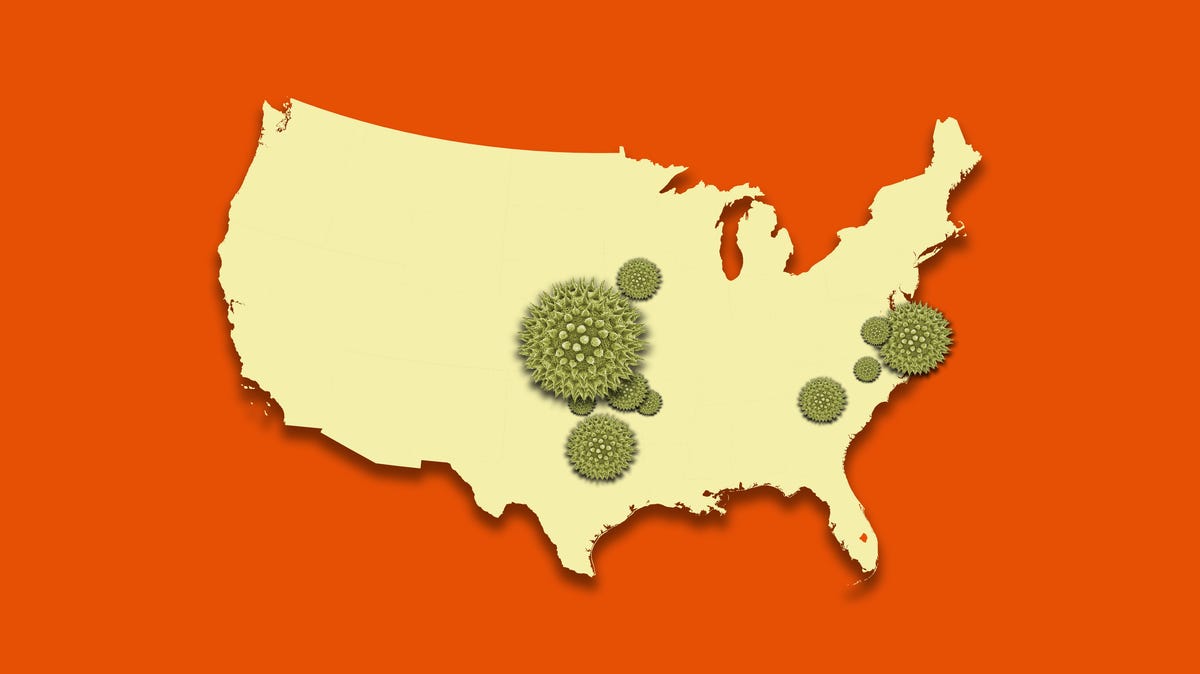 Featured image for "Mapping the Worsening Allergy Season: Cities with Longer and More Severe Pollen Issues"