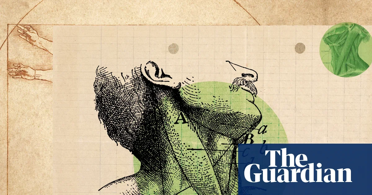 Desk-friendly neck care: micro-breaks, posture tweaks, and gentle stretches