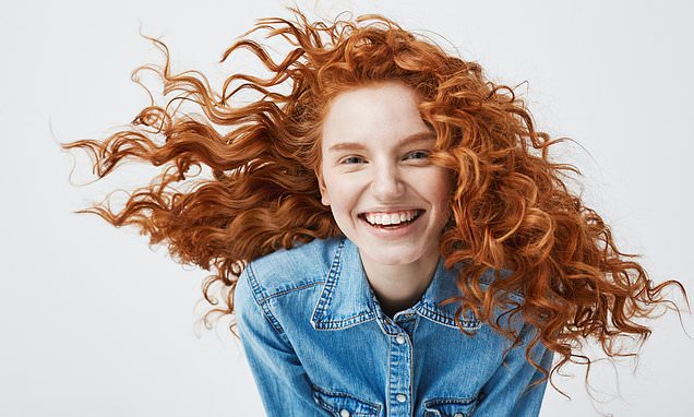 The Ancient Origins of Gingers: A 10 Million-Year Journey