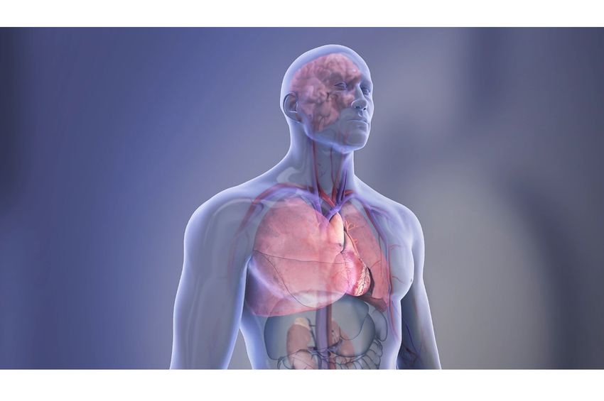 Featured image for "Study Finds Link Between Intermittent Fasting and Increased Risk of Cardiovascular Death"