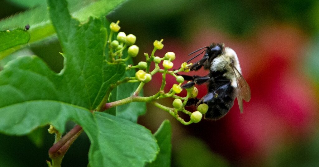 Featured image for "Winning Words: Spelling Bee Answers - February 13, 2024"