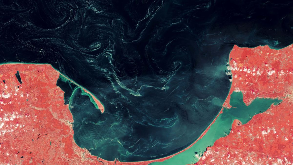 Featured image for Unraveling the Mystery of Poland's Sea Swirls.