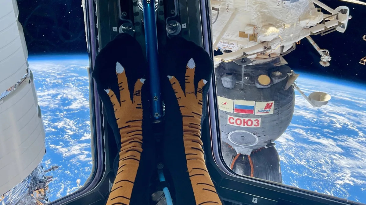 "Thanksgiving in Space: Astronaut's Turkey Socks and Stunning Earth Views"