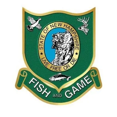 Skier Survives Avalanche Ordeal on Mt. Washington