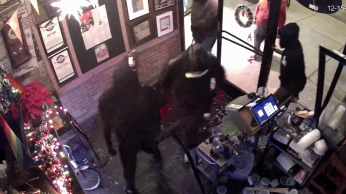 Featured image for Rampant Thieves Target San Francisco Restaurants and Businesses