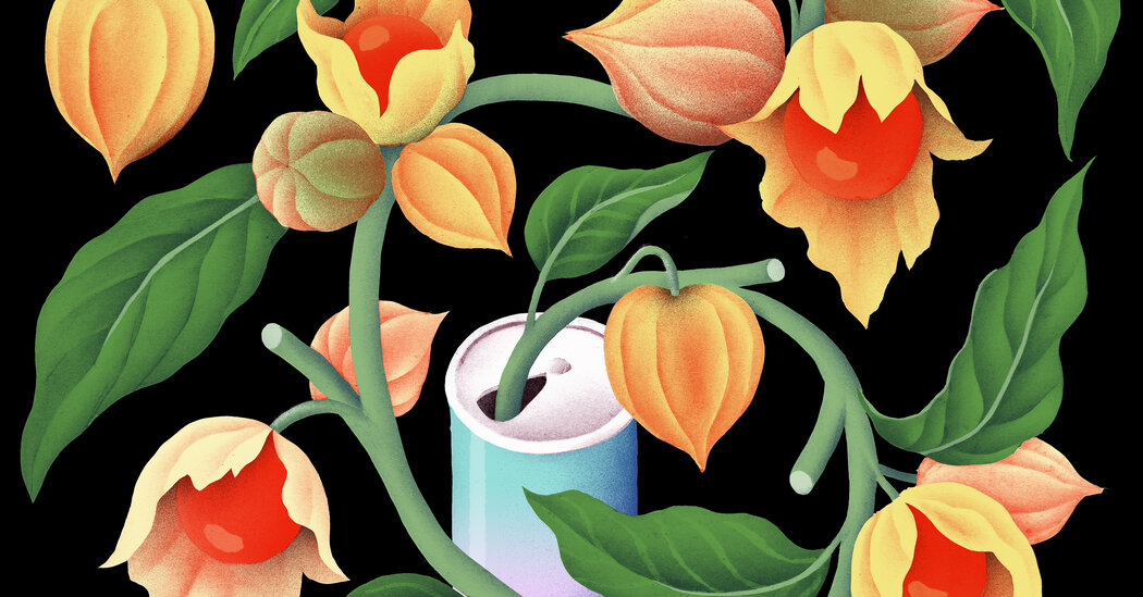 The Benefits of Ashwagandha and Other Herbal Supplements for Anxiety and Wellbeing