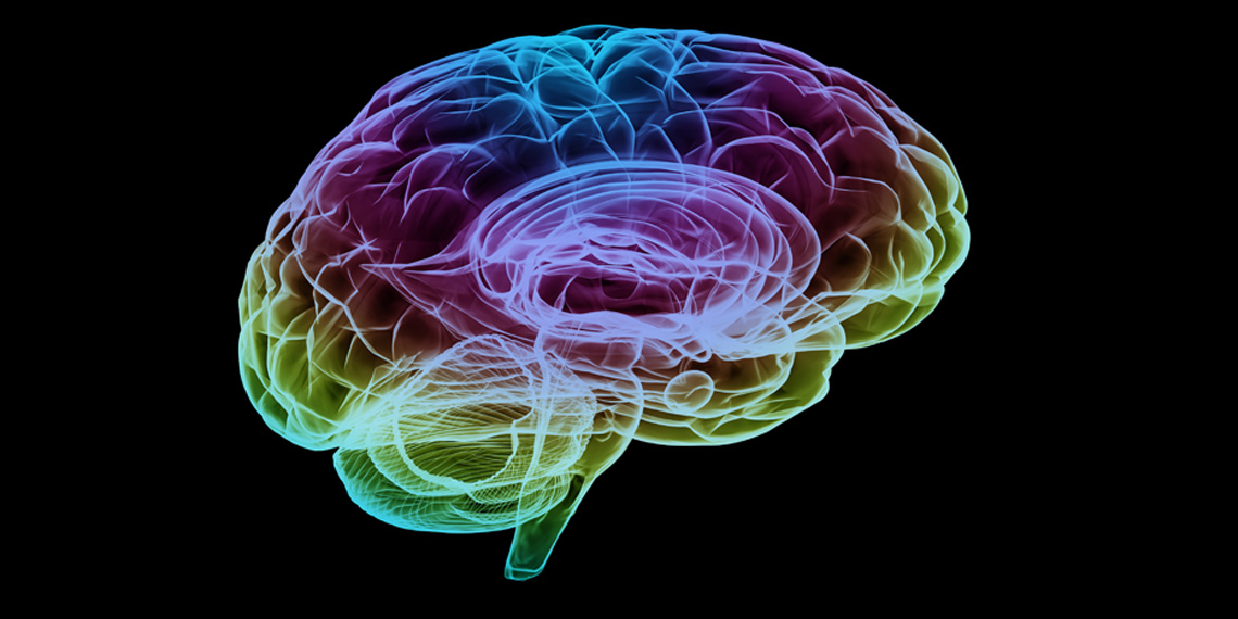 Psychopathic Women Have Reduced Brain Integrity in Emotional Region.