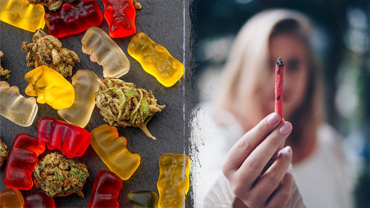 Featured image for Study Links Marijuana and Cannabis Gummies to Health Risks