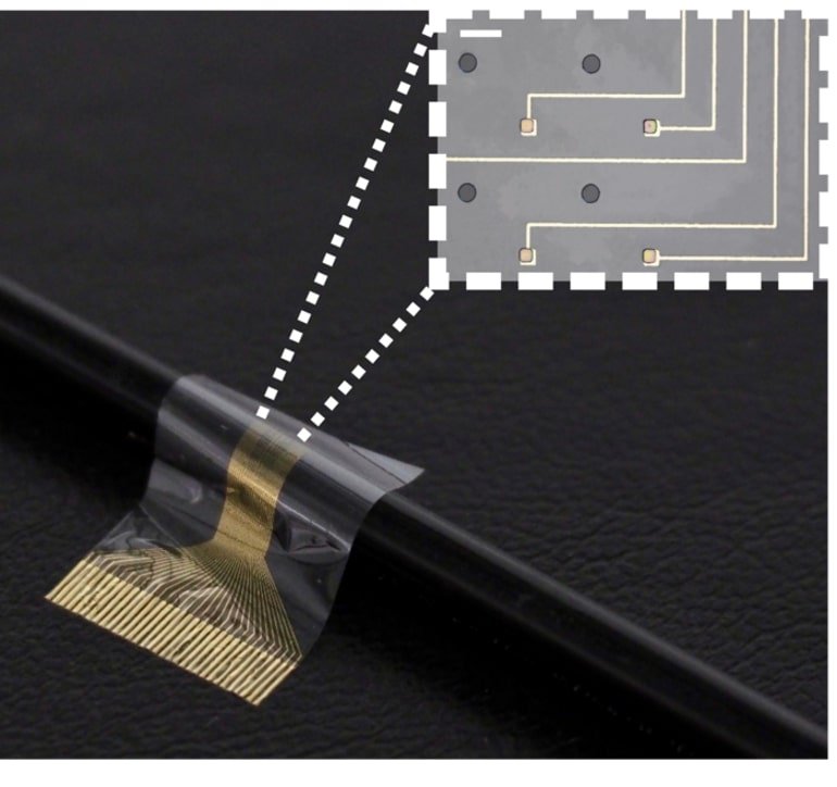 Featured image for "Biohybrid Neural Implant Offers Hope for Paralyzed Limbs"