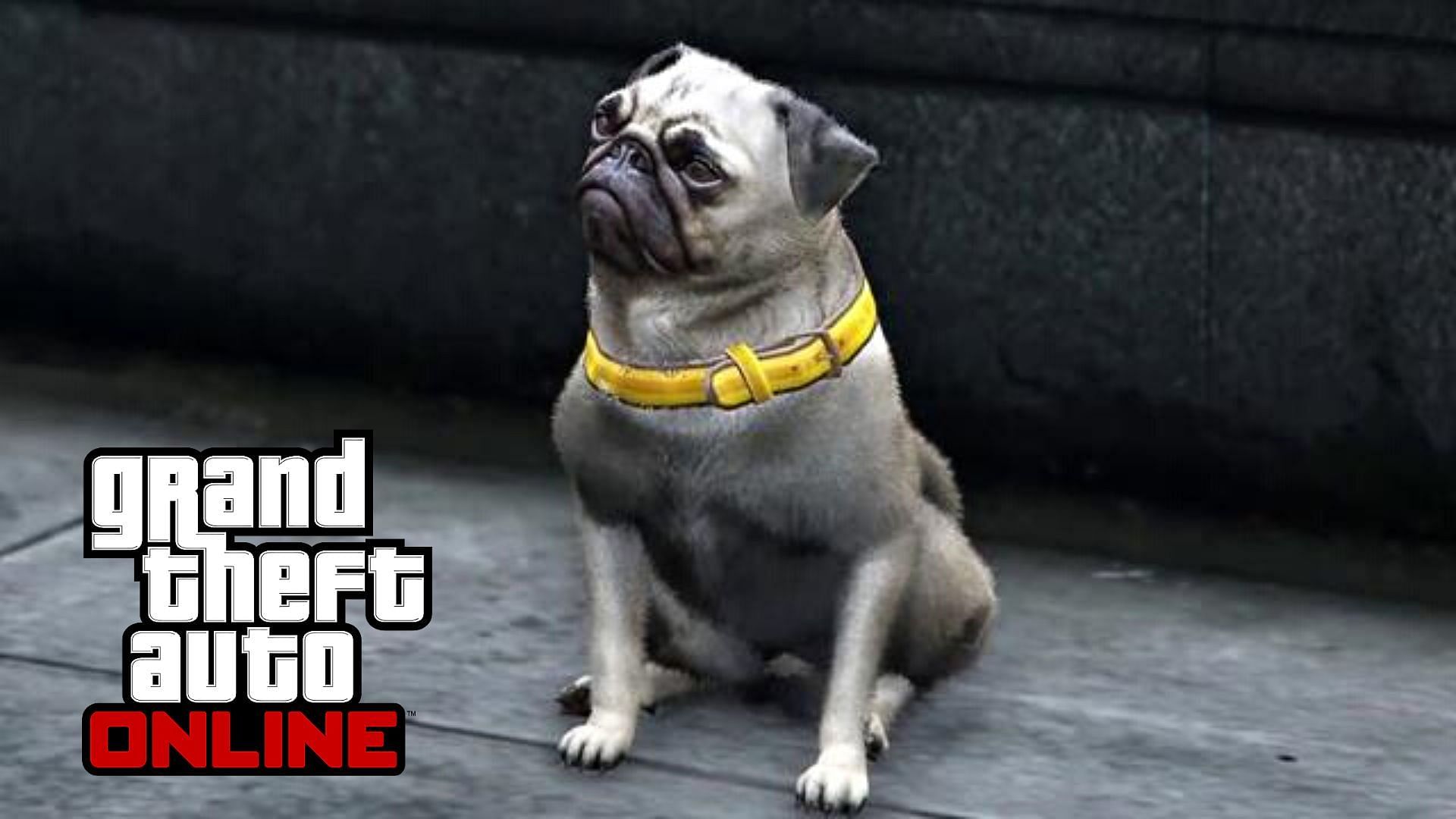 "GTA Online's Latest Update: Discover New Animal Locations, Photography Challenges, and Exclusive Vehicles"