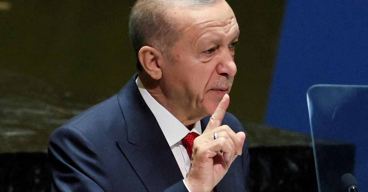 Turkey's Erdogan Stands Firm on Gaza, Calls for Peaceful Resolution