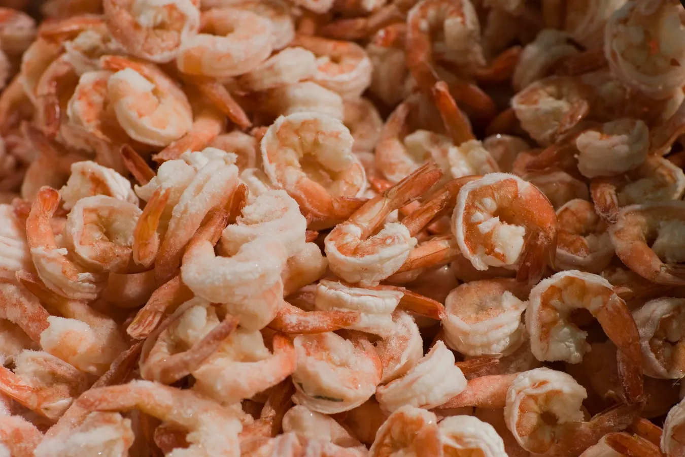 Featured image for FDA Expands Recall of Radioactive Shrimp Sold in 31 States